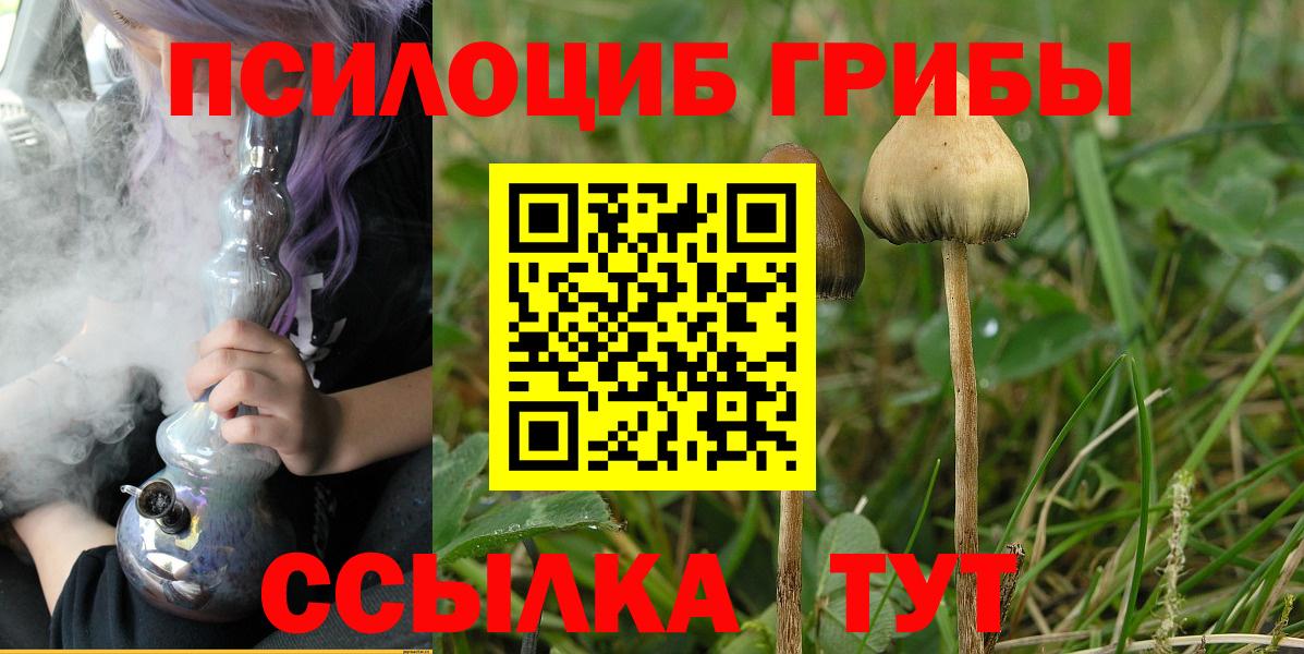 Псилоцибиновые грибы ЛСД  Псилоцибиновые грибы Psilocybe  Вход с VPN  Камышлов 